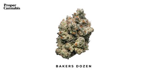 Bakers dozen strain. Things To Know About Bakers dozen strain. 